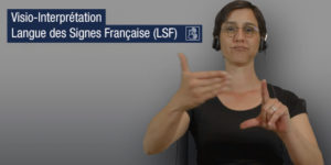 visio interpretation lsf langue des signes